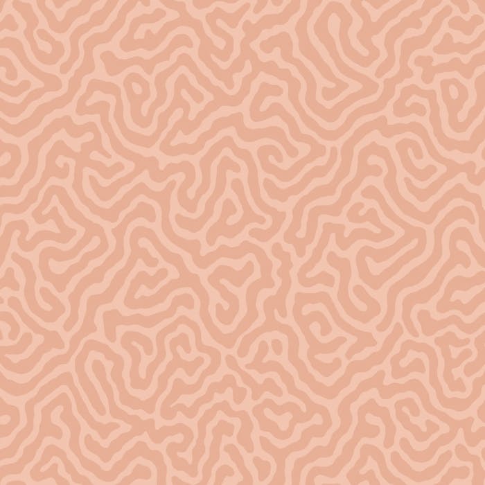 106/5075-CS CORAL Salmon Cole & Son Wallpaper