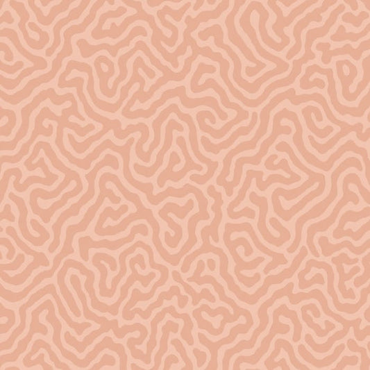 106/5075-CS CORAL Salmon Cole & Son Wallpaper