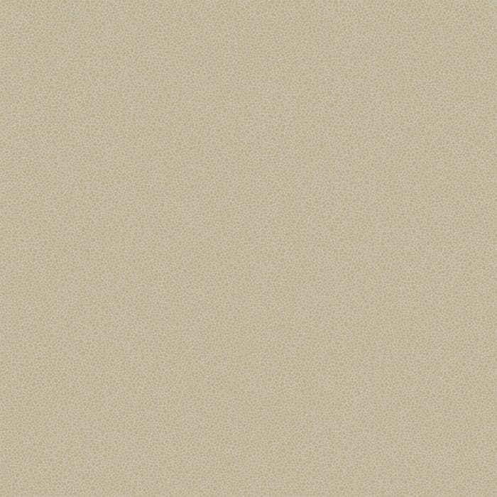 107/9042-CS GOLDSTONE Stone Gilver Cole & Son Wallpaper