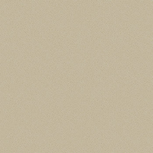 107/9042-CS GOLDSTONE Stone Gilver Cole & Son Wallpaper