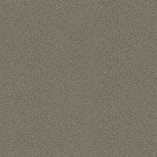 107/9043-CS GOLDSTONE Black Silver Cole & Son Wallpaper