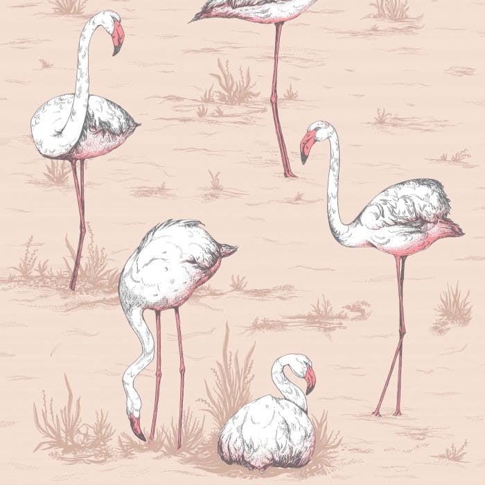 112/11039-CS FLAMINGOS Plaster Pink Cole & Son Wallpaper