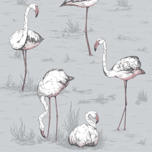 112/11040-CS FLAMINGOS Grey Cole & Son Wallpaper