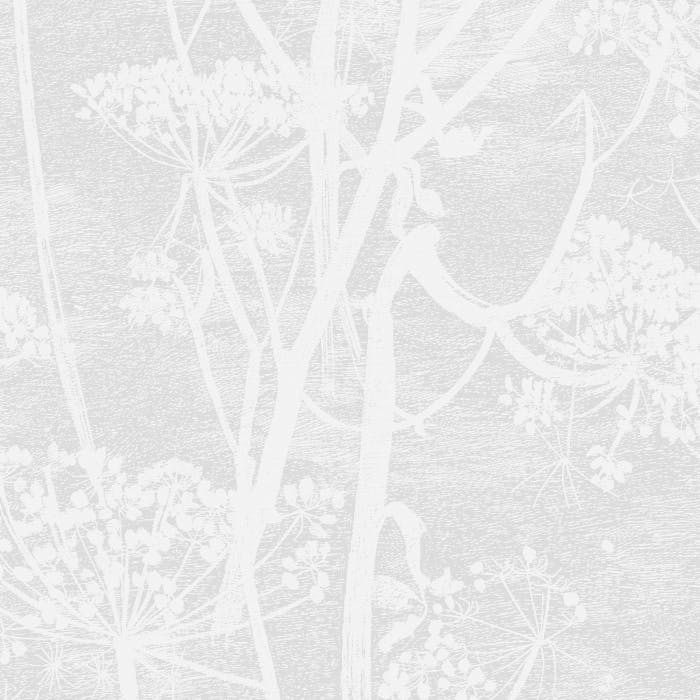 112/8027-CS COW PARSLEY White Cole & Son Wallpaper