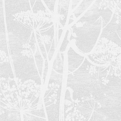 112/8027-CS COW PARSLEY White Cole & Son Wallpaper