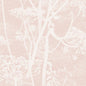 112/8028-CS COW PARSLEY Plaster Pink Cole & Son Wallpaper