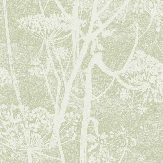 112/8029-CS COW PARSLEY Olive Cole & Son Wallpaper