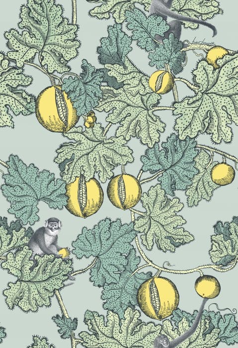 114/1002-CS FRUTTO PROIBITO Seafoam Lemon Cole & Son Wallpaper