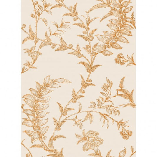 88/1003-CS LUDLOW Peach Cole & Son Wallpaper