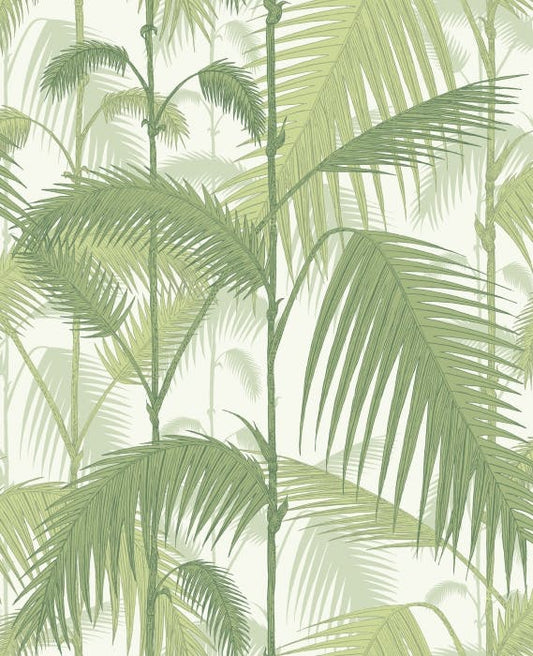 95/1001-CS PALM JUNGLE Olive Gre White Cole & Son Wallpaper