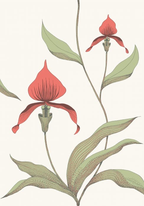 95/10054-CS ORCHID Red White Cole & Son Wallpaper