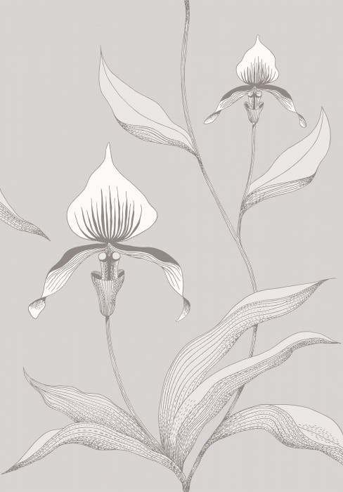 95/10055-CS ORCHID Grey White Cole & Son Wallpaper