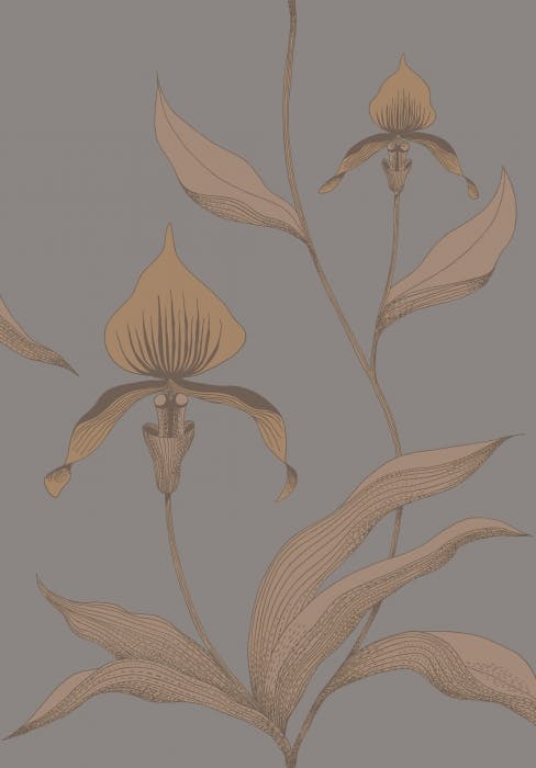 95/10056-CS ORCHID Bronze Slate Cole & Son Wallpaper