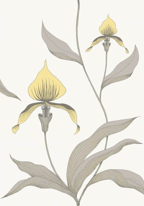 95/10057-CS ORCHID Yellow White Cole & Son Wallpaper