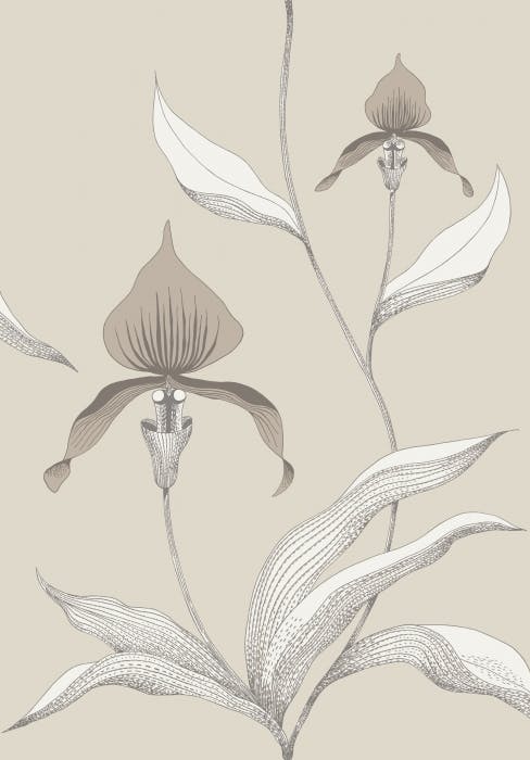 95/10058-CS ORCHID Linen White Cole & Son Wallpaper