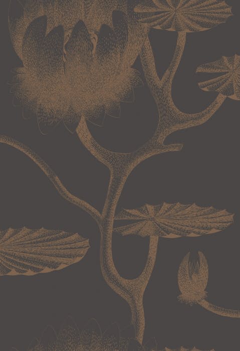 95/4021-CS LILY Black Bronze Cole & Son Wallpaper