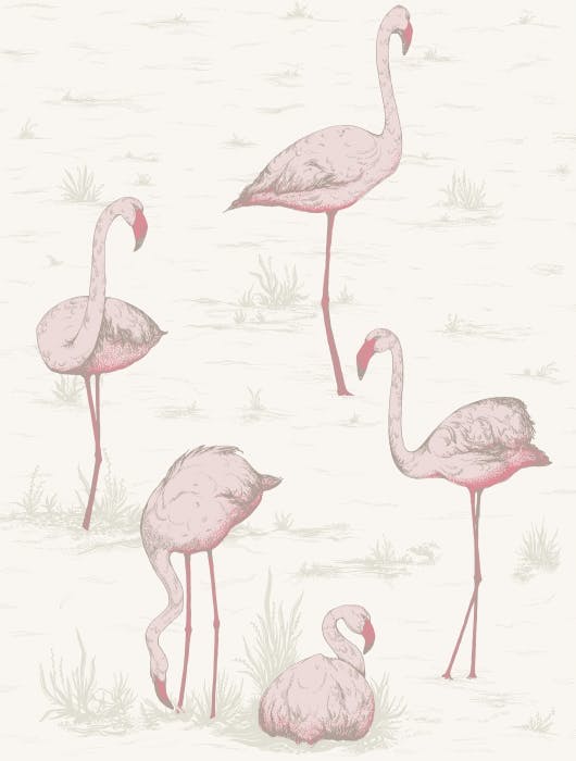 95/8045-CS FLAMINGOS Pink White Cole & Son Wallpaper