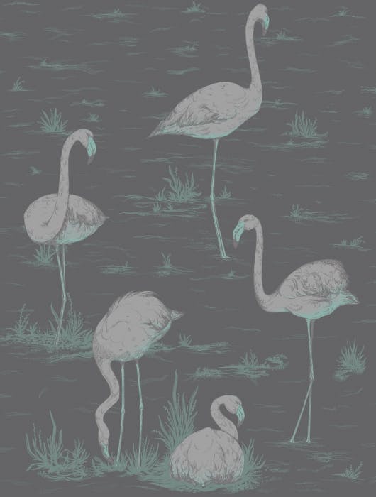 95/8048-CS FLAMINGOS Teal Slvr Bk Cole & Son Wallpaper