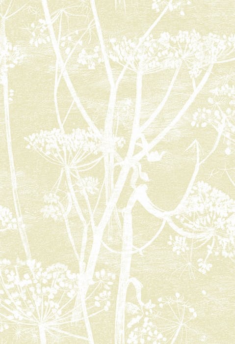 95/9053-CS COW PARSLEY Straw White Cole & Son Wallpaper