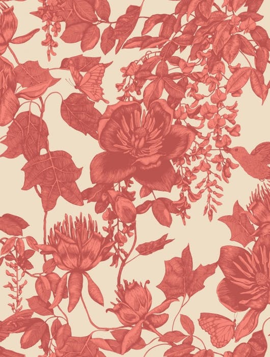 99/7033-CS TIVOLI Coral Cole & Son Wallpaper