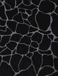 DARWIN Noir 947 Norbar Fabric