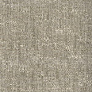 RIDDLE Coin Norbar Fabric