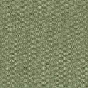 SANTIAGO Cactus 52 Norbar Fabric