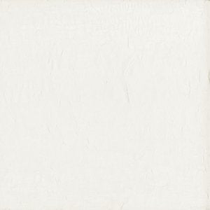 WISTFUL Coconut Norbar Fabric