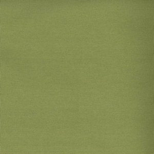 WORTH Lime Norbar Fabric