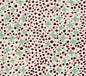 AC220-03 JACKS II French Green Brown Dots on Tint Quadrille Fabric
