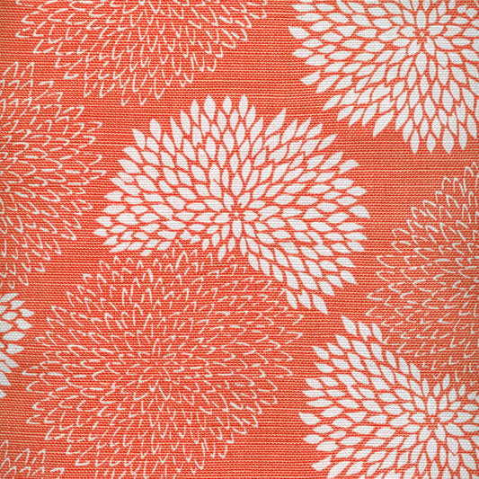6295-13 NEW CHRYSANTHEMUM REVERSE Coral on White Quadrille Fabric