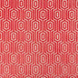 Hypnotize 1 Watermelon Stout Fabric