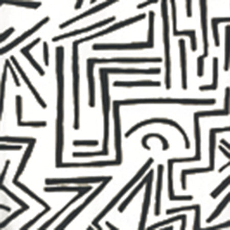 AP204-8 LASCAUX Black On White Quadrille Wallpaper