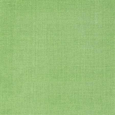 Logan 1 Grass Stout Fabric