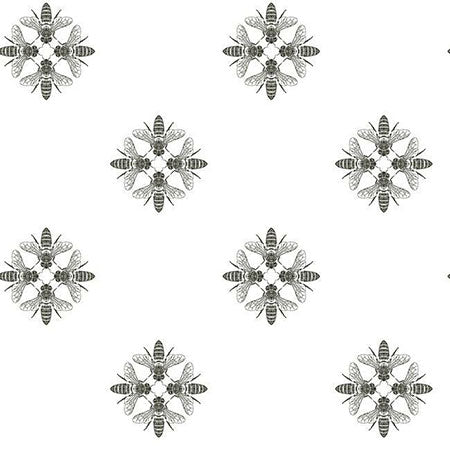 ON1643 Honey Bee York Wallpaper