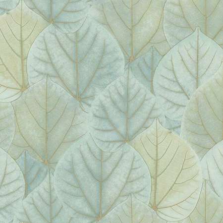 OS4241 LEAF CONCERTO York Wallpaper