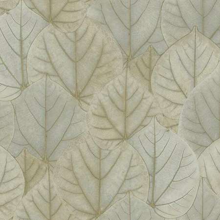 OS4243 LEAF CONCERTO York Wallpaper