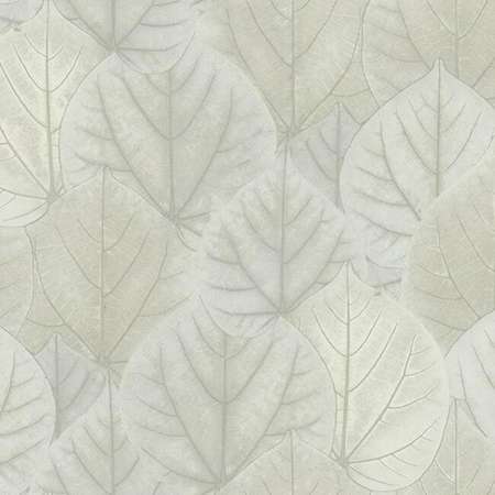 OS4246 LEAF CONCERTO York Wallpaper