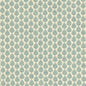 PADERNO 1 Aqua Stout Fabric