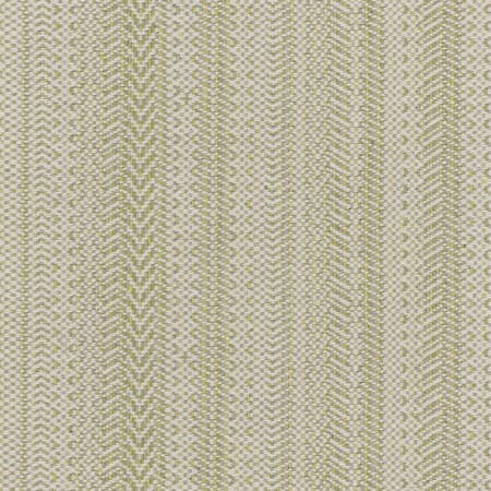 PAINE 1 Seedling Stout Fabric