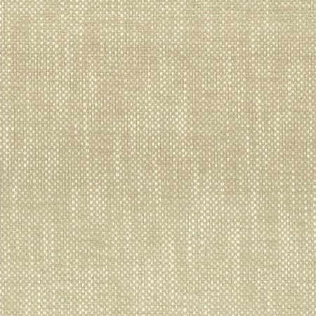 PANIC 1 CHAMPAGNE Stout Fabric