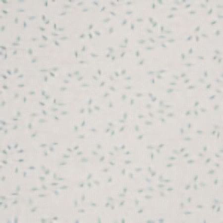 PASCAL Aquamarine Norbar Fabric