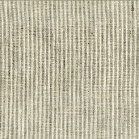 Rembrandt 1 Nickel Stout Fabric