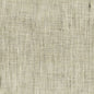 Rembrandt 1 Nickel Stout Fabric