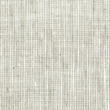 REMBRANDT 2 Platinum Stout Fabric