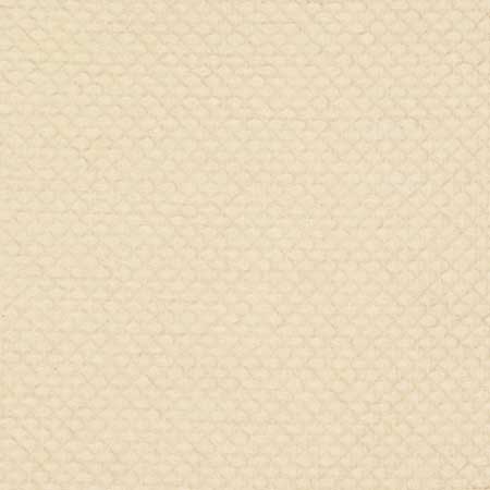 S3879 Natural Greenhouse Fabric