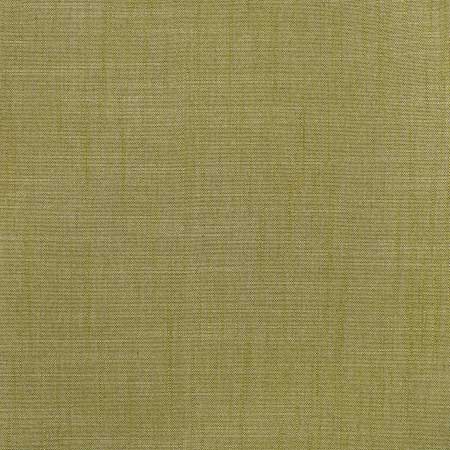 S3954 Fern Greenhouse Fabric