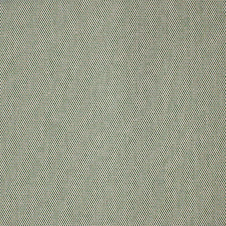 S4223 Moss Greenhouse Fabric