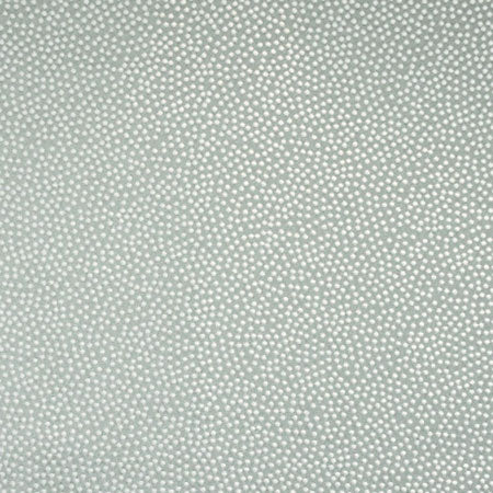 S4795 Aqua Greenhouse Fabric