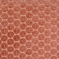 S4919 Petal Greenhouse Fabric